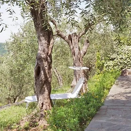 Casarossa